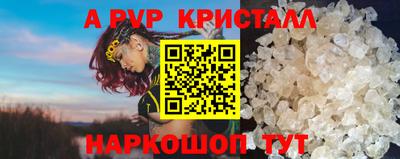 2c-b Кингисепп