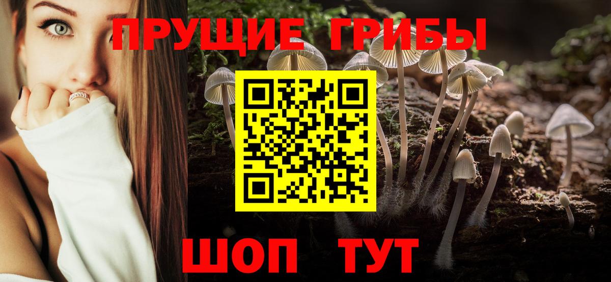 Галлюциногенные грибы GOLDEN TEACHER Красногорск