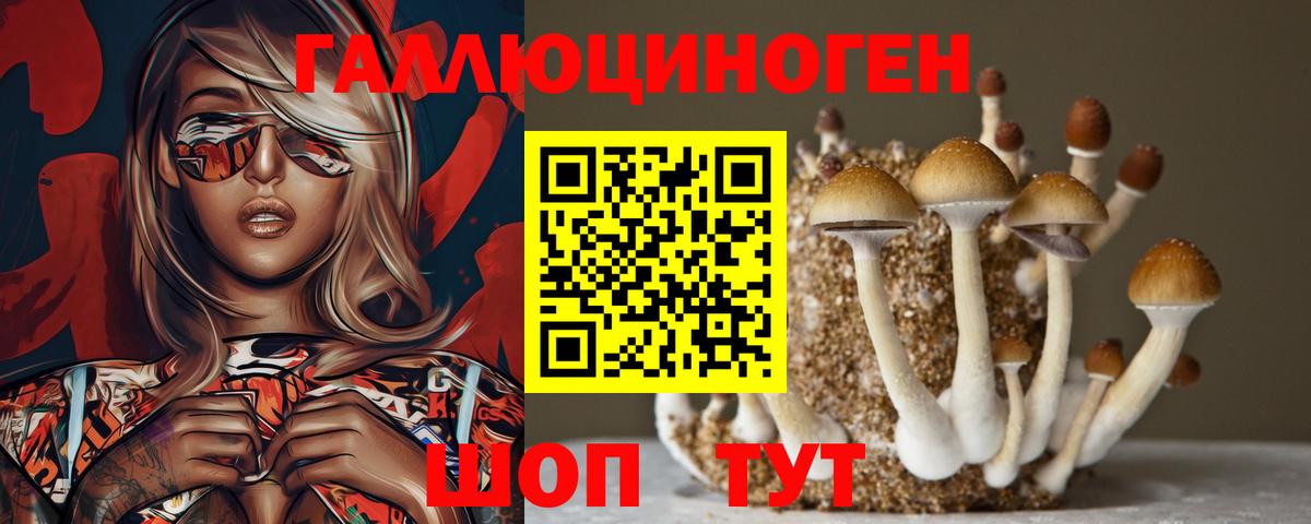 Галлюциногенные грибы Cubensis  Галлюциногенные грибы прущие грибы  Красногорск  Вход с VPN 